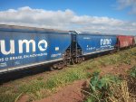RUMO HTT-351611-3